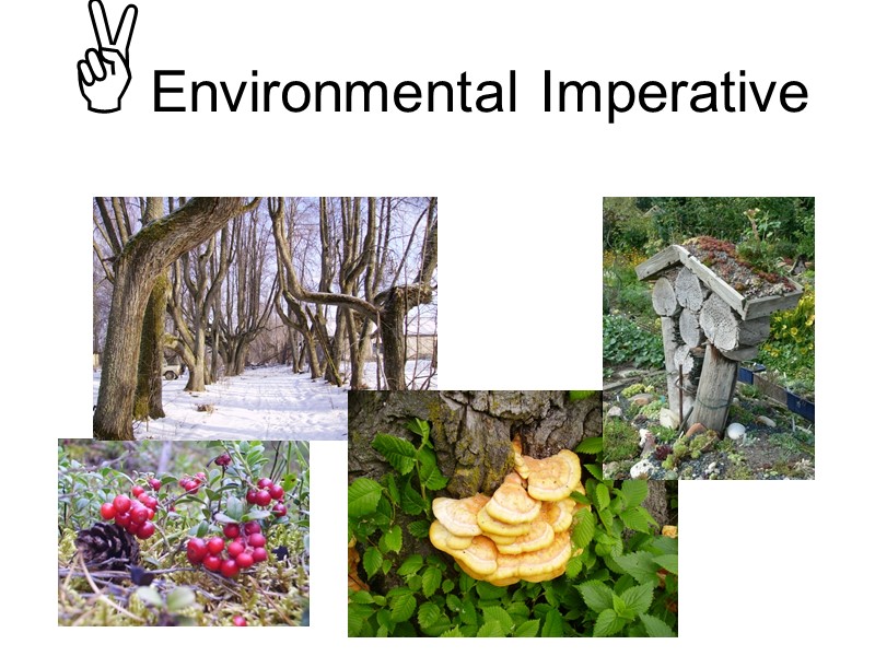 Environmental Imperative